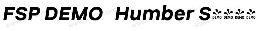 FSP DEMO   Humber S字体转换